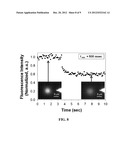 GENERATION OF MONODISPERSE DROPLETS BY SHAPE-INDUCED SHEAR AND INTERFACIAL     CONTROLLED FUSION OF INDIVIDUAL DROPLETS ON-DEMAND diagram and image