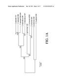 COMPOSITIONS AND METHODS FOR DETECTION OF CRONOBACTER SPP. AND CRONOBACTER     SPECIES AND STRAINS diagram and image