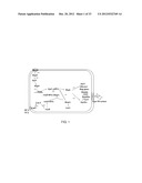 METHODS OF REDUCING VIRULENCE IN BACTERIA diagram and image