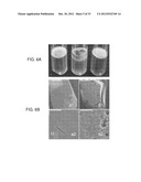 METHODS OF REDUCING VIRULENCE IN BACTERIA diagram and image