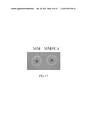 METHODS OF REDUCING VIRULENCE IN BACTERIA diagram and image