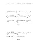 METHODS OF REDUCING VIRULENCE IN BACTERIA diagram and image