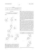 Pyrazolopiperidine Compounds As CCR1 Receptor Antagonists diagram and image