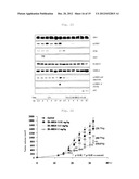 PHARMACEUTICAL COMPOSITION CONTAINING A3 ADENOSINE RECEPTOR AGONIST diagram and image