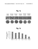 COMPOSITION CONTAINING CINCHONINE AS AN ACTIVE INGREDIENT FOR PREVENTING     AND TREATING OBESITY, DYSLIPIDEMIA, FATTY LIVER, OR INSULIN RESISTANCE     SYNDROME diagram and image