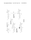 Duplex Oligonucleotide Complexes and Methods for Gene Silencing by RNA     Interference diagram and image
