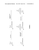 Duplex Oligonucleotide Complexes and Methods for Gene Silencing by RNA     Interference diagram and image