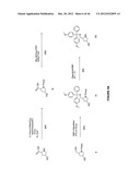 Duplex Oligonucleotide Complexes and Methods for Gene Silencing by RNA     Interference diagram and image