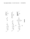 Duplex Oligonucleotide Complexes and Methods for Gene Silencing by RNA     Interference diagram and image