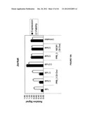 Duplex Oligonucleotide Complexes and Methods for Gene Silencing by RNA     Interference diagram and image