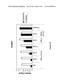 Duplex Oligonucleotide Complexes and Methods for Gene Silencing by RNA     Interference diagram and image