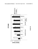 Duplex Oligonucleotide Complexes and Methods for Gene Silencing by RNA     Interference diagram and image