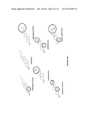 Duplex Oligonucleotide Complexes and Methods for Gene Silencing by RNA     Interference diagram and image