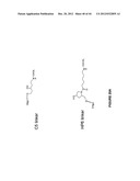 Duplex Oligonucleotide Complexes and Methods for Gene Silencing by RNA     Interference diagram and image