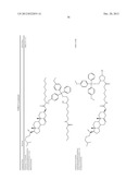 Duplex Oligonucleotide Complexes and Methods for Gene Silencing by RNA     Interference diagram and image