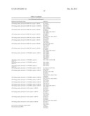 SUSTAINED POLYPEPTIDE EXPRESSION FROM SYNTHETIC, MODIFIED RNAS AND USES     THEREOF diagram and image