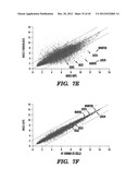 SUSTAINED POLYPEPTIDE EXPRESSION FROM SYNTHETIC, MODIFIED RNAS AND USES     THEREOF diagram and image