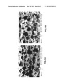 BIOCOMPATIBLE POLYMER NETWORKS diagram and image