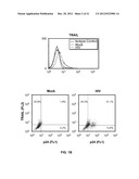 METHODS OF REDUCING TRAIL-INDUCED APOPTOSIS BY TRAIL ISOFORMS diagram and image
