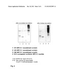 COMPOSITION FOR REPRESSION OF HYPERLIPIDEMIA AND OBESITY THROUGH     SUPPRESSION OF INTESTINAL CHOLESTEROL ABSORPTION diagram and image