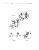 CRYSTAL STRUCTURES OF NEUROPILIN FRAGMENTS AND NEUROPILIN-ANTIBODY     COMPLEXES diagram and image