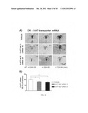 Compositions and methods for selective delivery of oligonucleotide     molecules to specific neuron types diagram and image