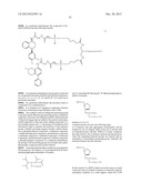 Compositions and methods for selective delivery of oligonucleotide     molecules to specific neuron types diagram and image