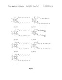 PHOTODYNAMIC THERAPY WITH PHTHALOCYANINES AND RADICAL SOURCES diagram and image