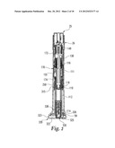 Automatic Injection Device With Delay Mechanism Including Dual Functioning     Biasing Member diagram and image