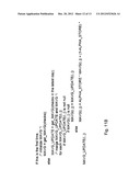 APPARATUS FOR SCHEDULING STAFF BASED ON NORMALIZED PERFORMANCE diagram and image