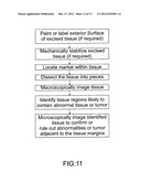 SYSTEM AND METHOD FOR IDENTIFYING, INSPECTING, AND EXAMINING A     RADIOGRAPHICALLY LABELED SPECIMEN diagram and image