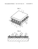 PLASMA DISPLAY PANEL diagram and image