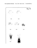 Fully Automatic Dynamic Articulated Model Calibration diagram and image