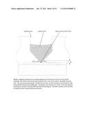 MICROFLUIDIC ASSAY PLATFORMS diagram and image