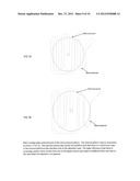 MICROFLUIDIC ASSAY PLATFORMS diagram and image