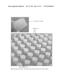 MICROFLUIDIC ASSAY PLATFORMS diagram and image