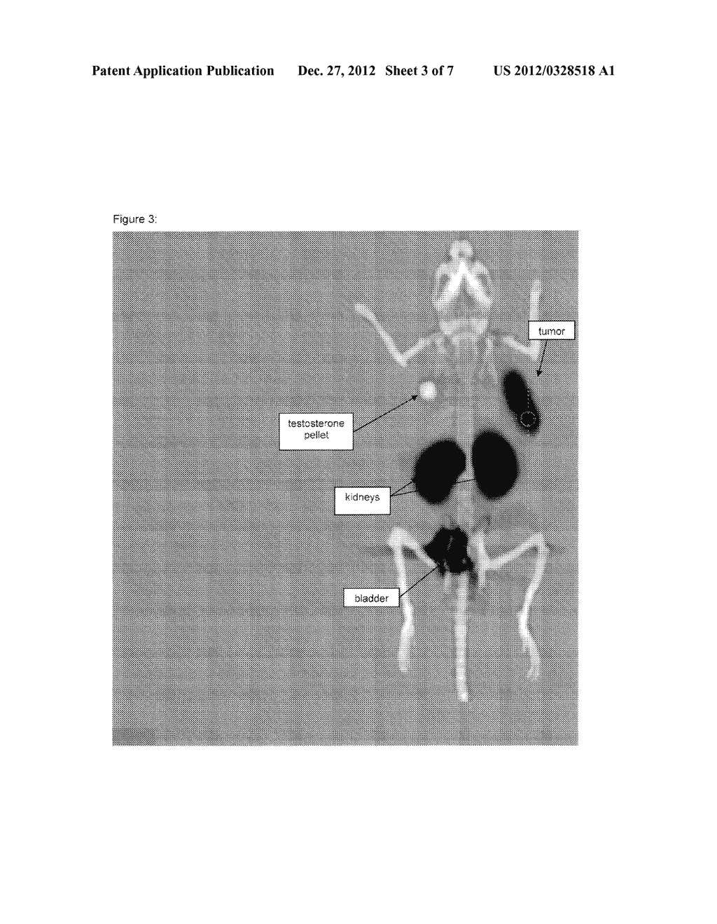 PROSTATE SPECIFIC MEMBRANE ANTIGEN INHIBITORS - diagram, schematic, and image 04