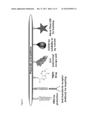 DRUG DELIVERY OF TEMOZOLOMIDE FOR SYSTEMIC BASED TREATMENT OF CANCER diagram and image