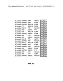 PROTEIN AND LIPID BIOMARKERS PROVIDING CONSISTENT IMPROVEMENT TO THE     PREDICTION OF TYPE 2 DIABETES diagram and image