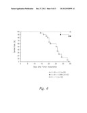 VARIANT ACTIVIN RECEPTOR POLYPEPTIDES AND USES THEREOF diagram and image