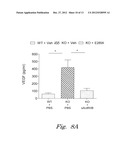 VARIANT ACTIVIN RECEPTOR POLYPEPTIDES AND USES THEREOF diagram and image