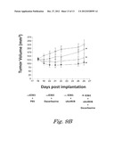 VARIANT ACTIVIN RECEPTOR POLYPEPTIDES AND USES THEREOF diagram and image