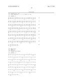 VARIANT ACTIVIN RECEPTOR POLYPEPTIDES AND USES THEREOF diagram and image