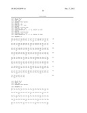 VARIANT ACTIVIN RECEPTOR POLYPEPTIDES AND USES THEREOF diagram and image