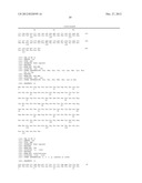 VARIANT ACTIVIN RECEPTOR POLYPEPTIDES AND USES THEREOF diagram and image