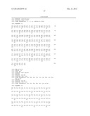 VARIANT ACTIVIN RECEPTOR POLYPEPTIDES AND USES THEREOF diagram and image