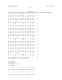 VARIANT ACTIVIN RECEPTOR POLYPEPTIDES AND USES THEREOF diagram and image