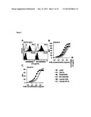 ANTI-FLT3 ANTIBODIES AND METHODS OF USING THE SAME diagram and image