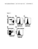 ANTI-FLT3 ANTIBODIES AND METHODS OF USING THE SAME diagram and image