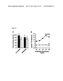 ANTI-FLT3 ANTIBODIES AND METHODS OF USING THE SAME diagram and image